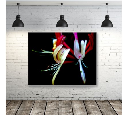 48" x 36" Wall Mounted LED Light Box Display